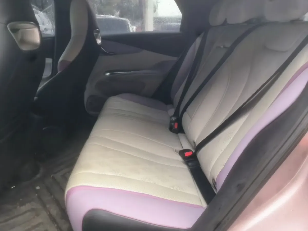 2023 BYD Dolphin BEV 44.928KWH,autocango,china used car exporter,china ev exporter,chinese used car exporter,chinese used ev exporter