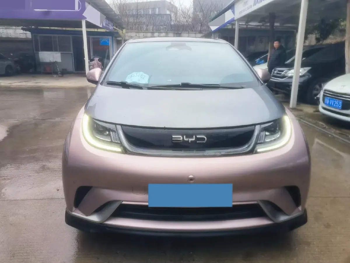 2023 BYD Dolphin BEV 44.928KWH,autocango,china used car exporter,china ev exporter,chinese used car exporter,chinese used ev exporter