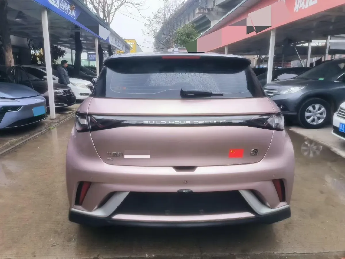 2023 BYD Dolphin BEV 44.928KWH,autocango,china used car exporter,china ev exporter,chinese used car exporter,chinese used ev exporter