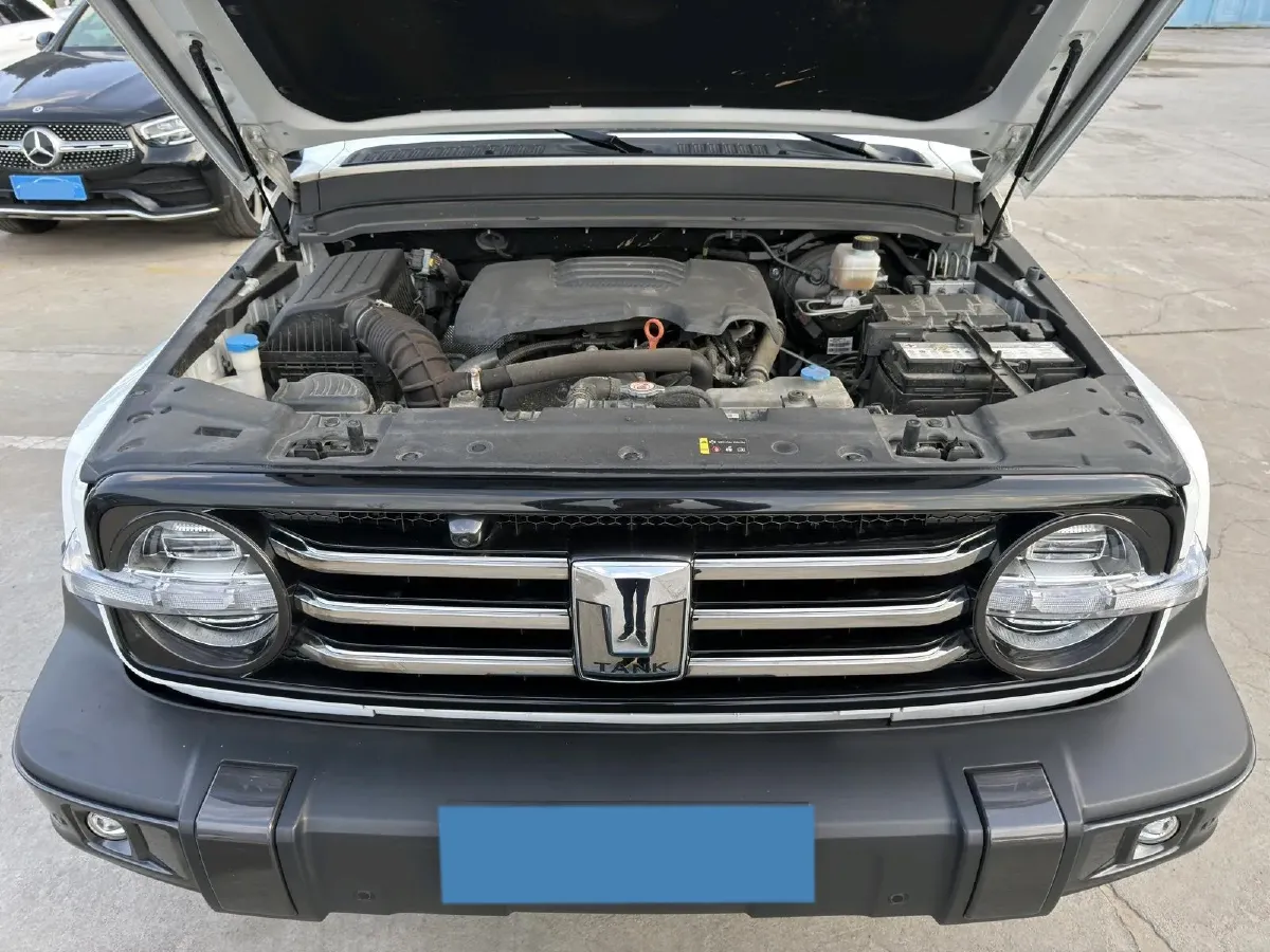 2021 Tank 300 2.0T 227HP L4 8AT,autocango,china used car exporter,china ev exporter,chinese used car exporter,chinese used ev exporter