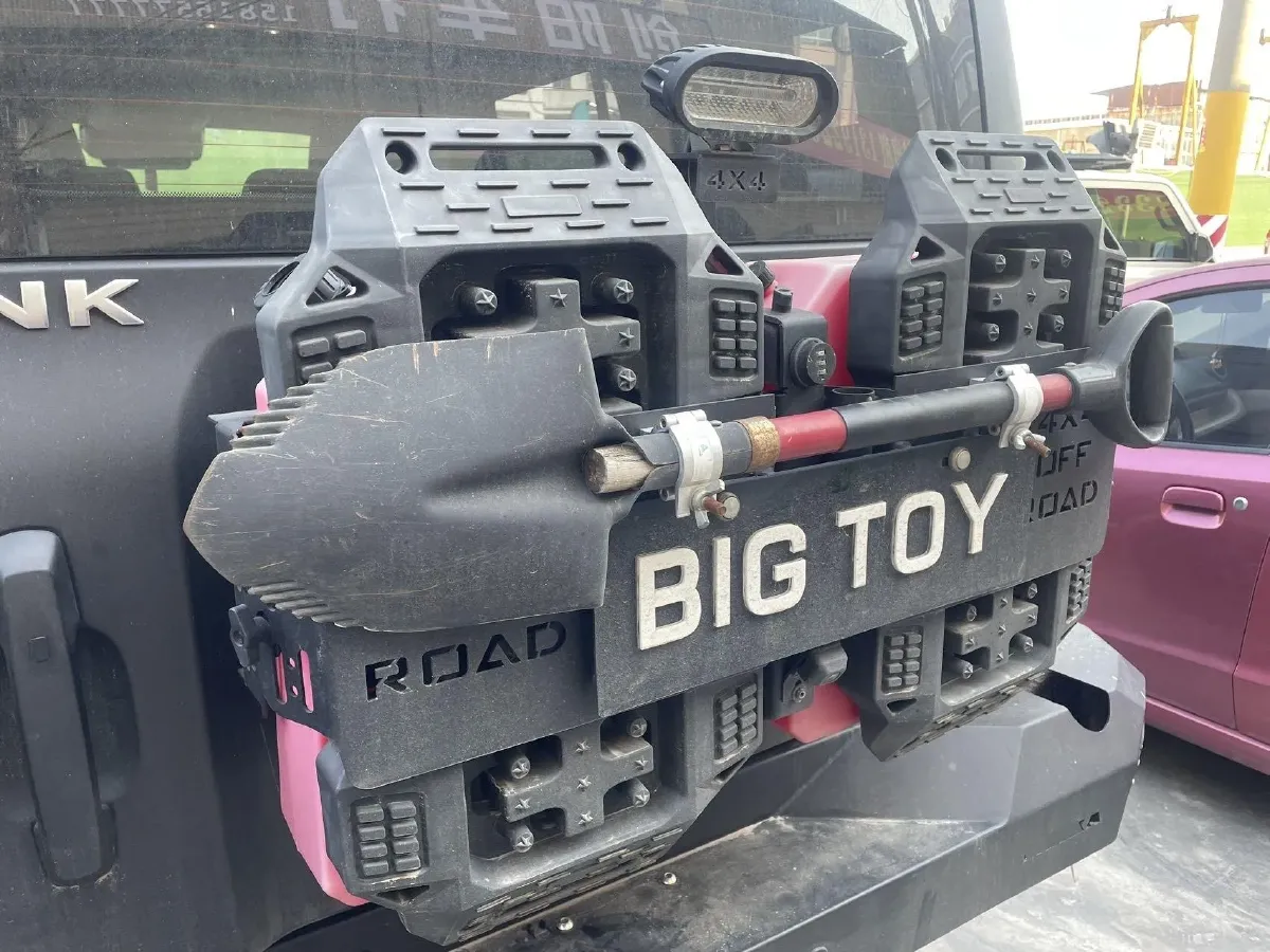 2021 Tank 300 2.0T 227HP L4 8AT,autocango,china used car exporter,china ev exporter,chinese used car exporter,chinese used ev exporter