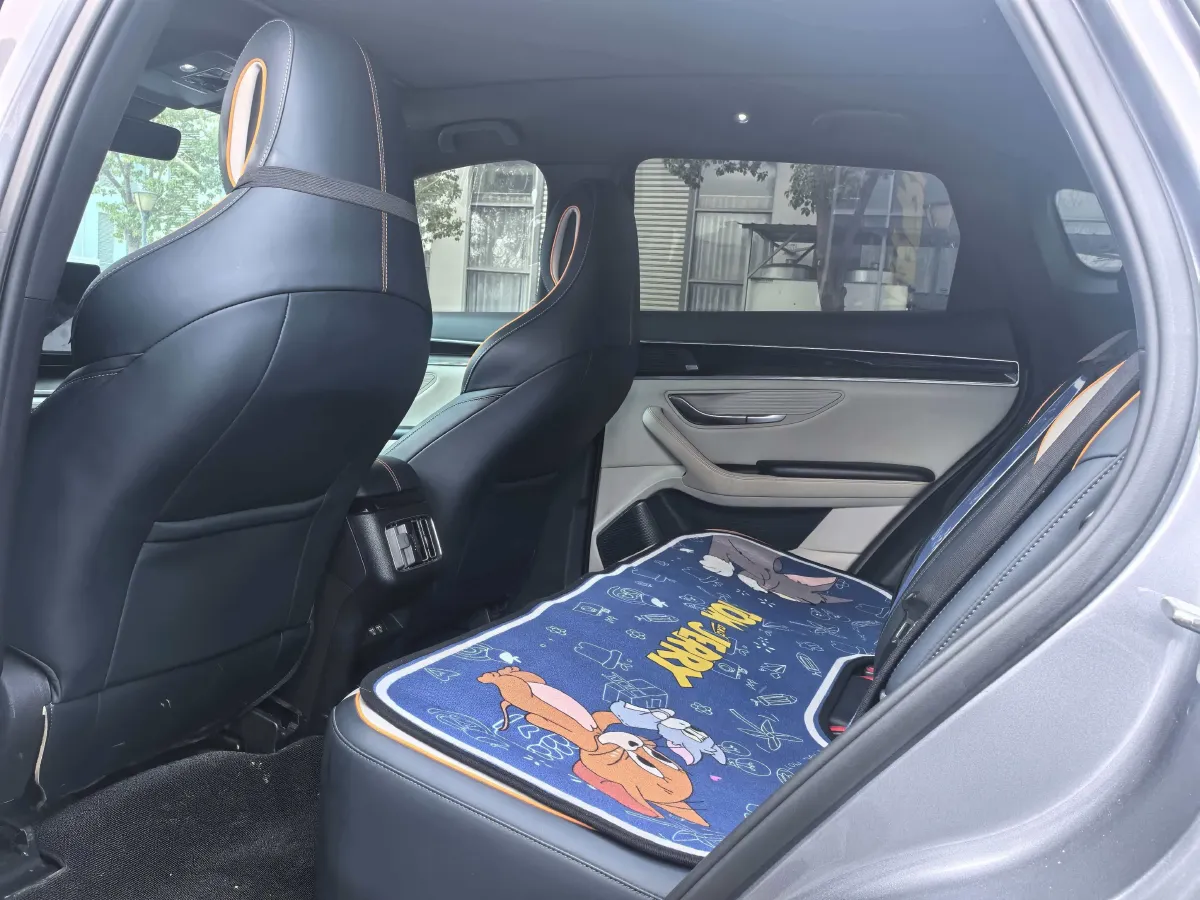 2021 BYD Qin BEV 53.56KWH,autocango,china used car exporter,china ev exporter,chinese used car exporter,chinese used ev exporter