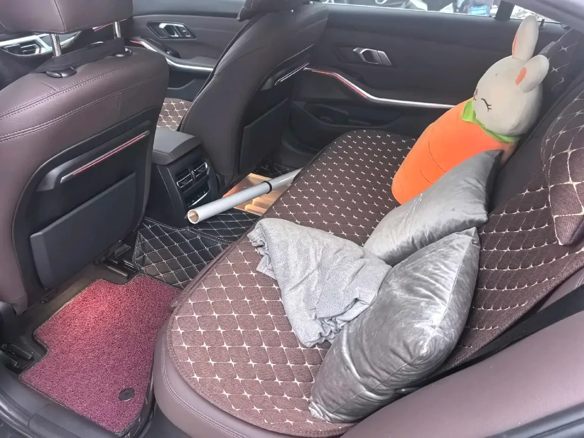 2020 BMW 3 Series 2.0T 184HP L4 8AT,autocango,china used car exporter,china ev exporter,chinese used car exporter,chinese used ev exporter