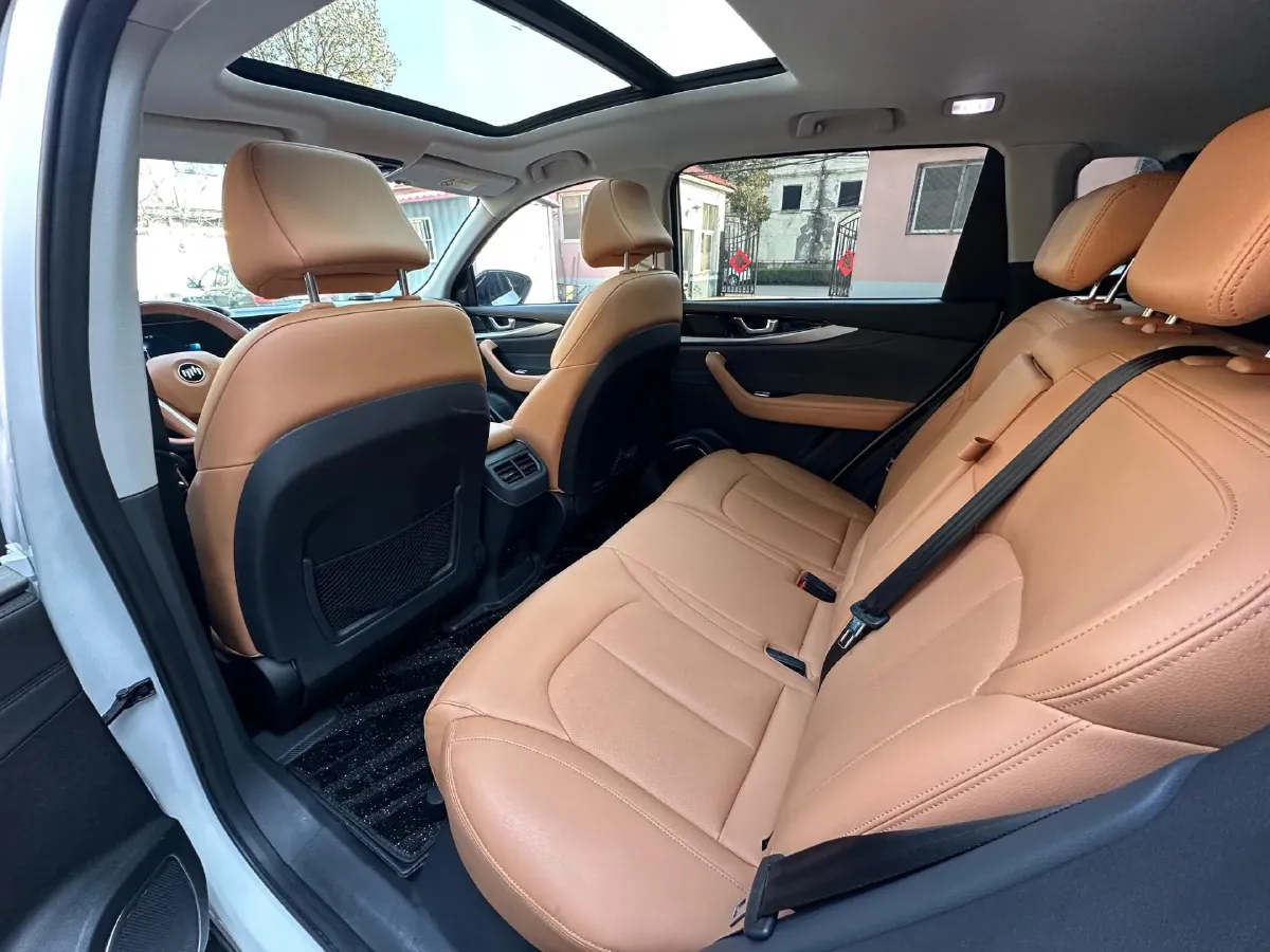 2021 Weltmeister W6 BEV 66.231KWH,autocango,china used car exporter,china ev exporter,chinese used car exporter,chinese used ev exporter