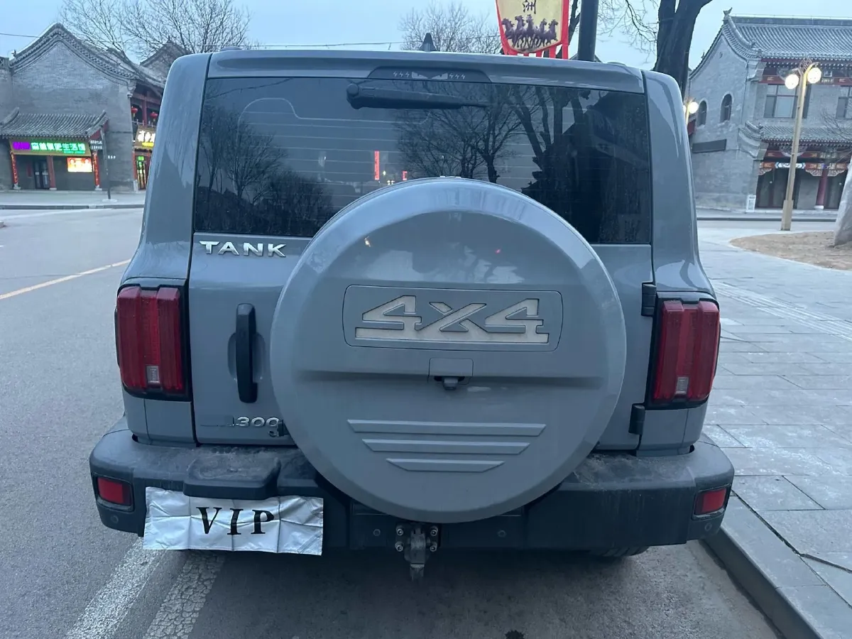 2021 Tank 300 2.0T 227HP L4 8AT,autocango,china used car exporter,china ev exporter,chinese used car exporter,chinese used ev exporter