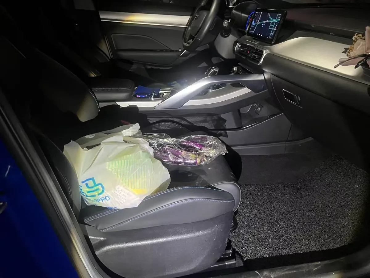 2020 Geely Emgrand GT 1.5T 180HP L3 7DCT,autocango,china used car exporter,china ev exporter,chinese used car exporter,chinese used ev exporter