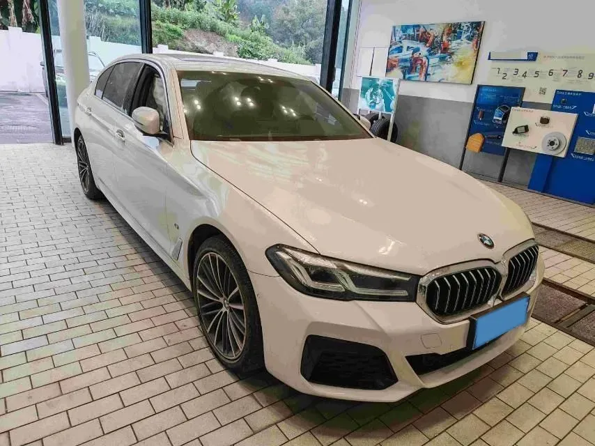 2021 BMW 5 Series 2.0T 252HP L4 8AT,autocango,china used car exporter,china ev exporter,chinese used car exporter,chinese used ev exporter