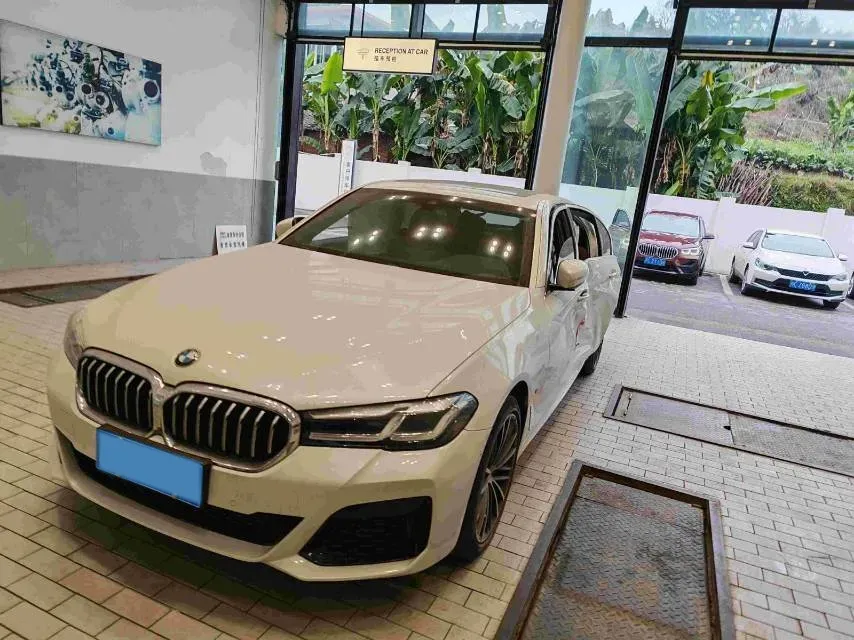 2021 BMW 5 Series 2.0T 252HP L4 8AT,autocango,china used car exporter,china ev exporter,chinese used car exporter,chinese used ev exporter