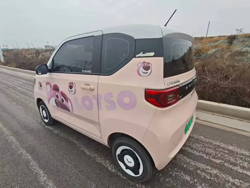 2022 WuLing HongGuang MINI EV BEV 13.9KWH,autocango,china used car exporter,china ev exporter,chinese used car exporter,chinese used ev exporter