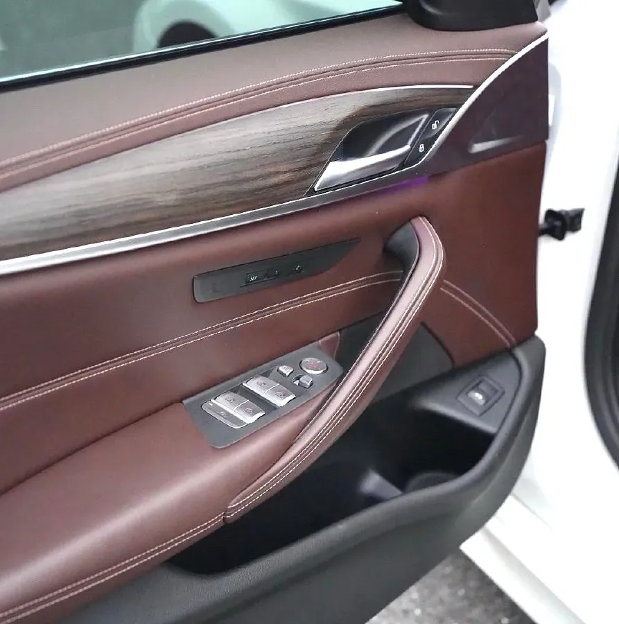 2020 BMW 5 Series 2.0T 252HP L4 8AT,autocango,china used car exporter,china ev exporter,chinese used car exporter,chinese used ev exporter