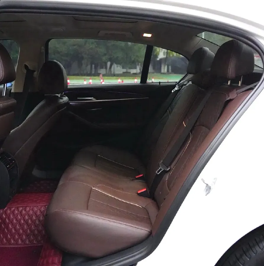 2020 BMW 5 Series 2.0T 252HP L4 8AT,autocango,china used car exporter,china ev exporter,chinese used car exporter,chinese used ev exporter