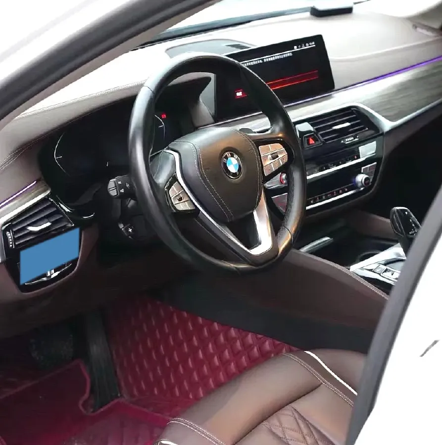 2020 BMW 5 Series 2.0T 252HP L4 8AT,autocango,china used car exporter,china ev exporter,chinese used car exporter,chinese used ev exporter