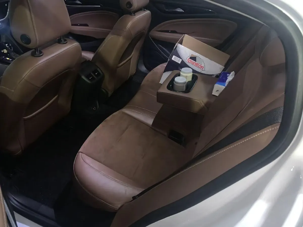 2019 Buick Regal 1.5T 170HP L4 9AT,autocango,china used car exporter,china ev exporter,chinese used car exporter,chinese used ev exporter