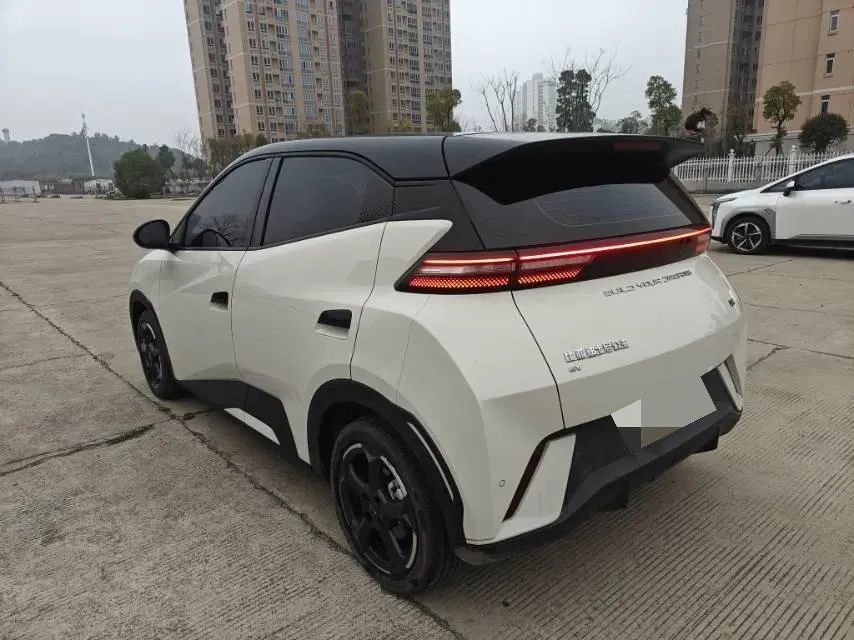 2024 BYD Seagull BEV 30.08KWH,autocango,china used car exporter,china ev exporter,chinese used car exporter,chinese used ev exporter