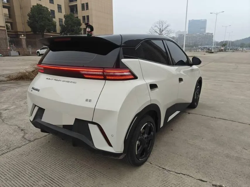 2024 BYD Seagull BEV 30.08KWH,autocango,china used car exporter,china ev exporter,chinese used car exporter,chinese used ev exporter