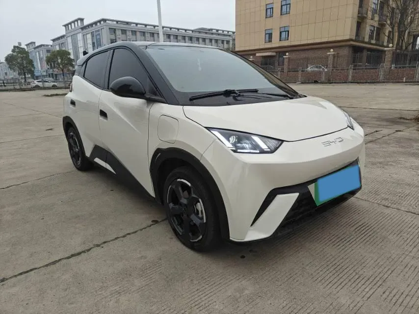2024 BYD Seagull BEV 30.08KWH,autocango,china used car exporter,china ev exporter,chinese used car exporter,chinese used ev exporter