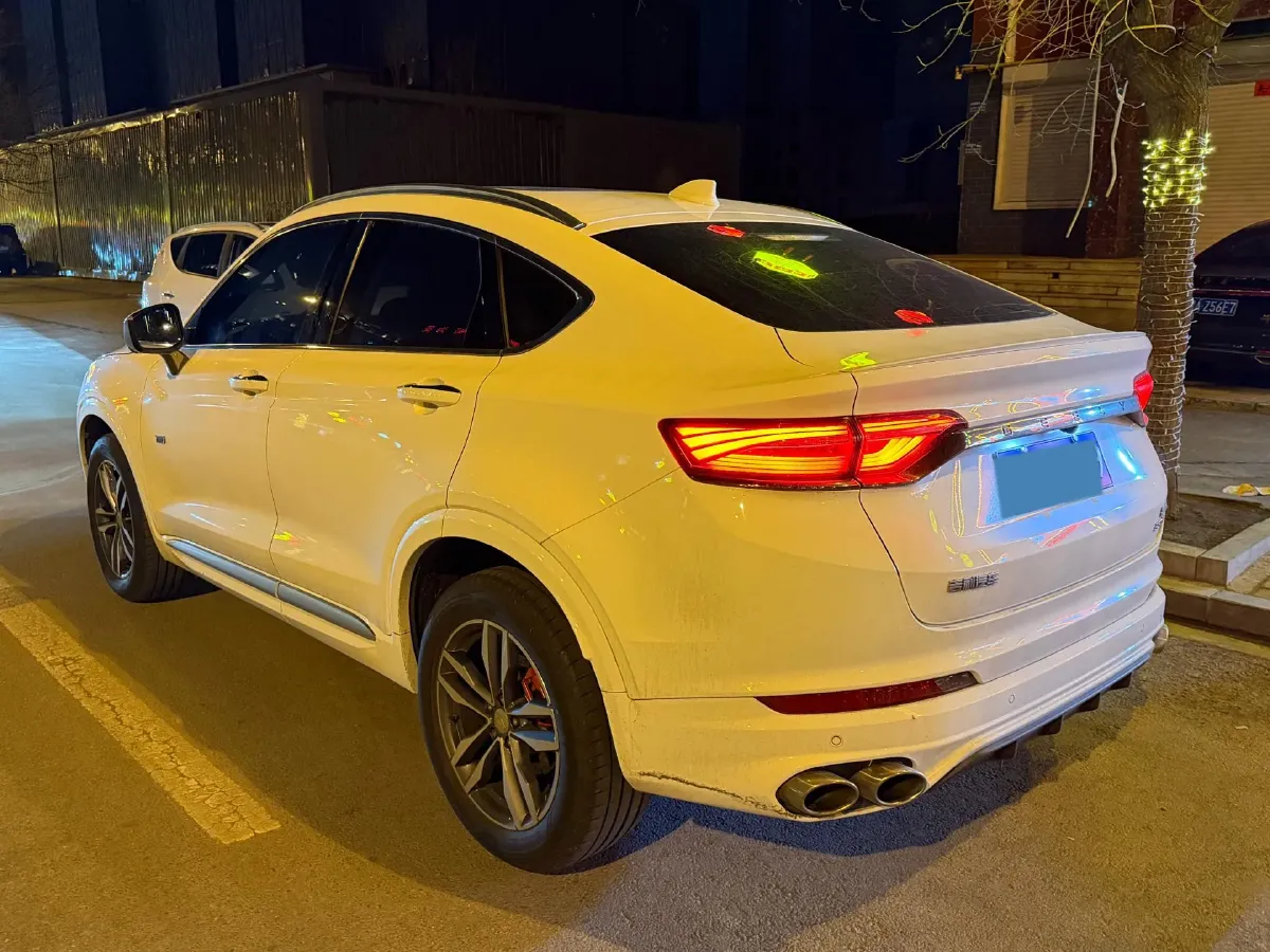 2019 Geely Tugella 2.0T 238HP L4 8AT,autocango,china used car exporter,china ev exporter,chinese used car exporter,chinese used ev exporter