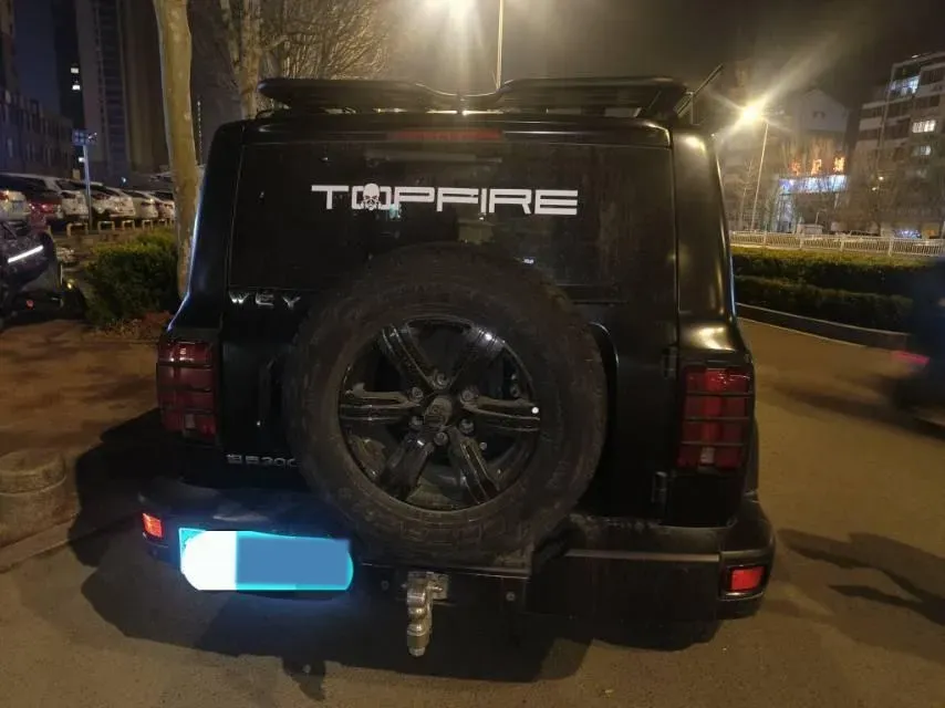 2021 Tank 300 2.0T 227HP L4 8AT,autocango,china used car exporter,china ev exporter,chinese used car exporter,chinese used ev exporter