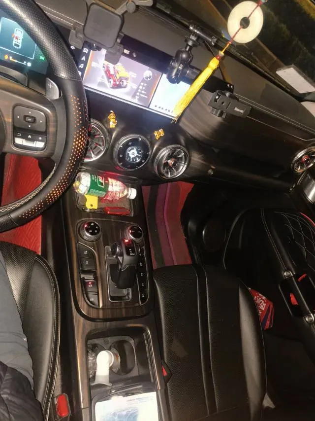 2021 Tank 300 2.0T 227HP L4 8AT,autocango,china used car exporter,china ev exporter,chinese used car exporter,chinese used ev exporter