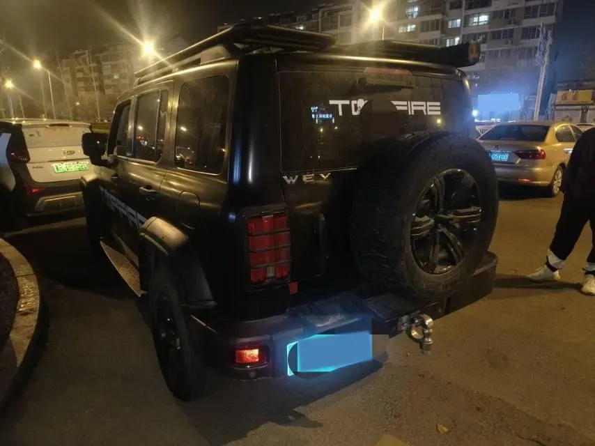 2021 Tank 300 2.0T 227HP L4 8AT,autocango,china used car exporter,china ev exporter,chinese used car exporter,chinese used ev exporter