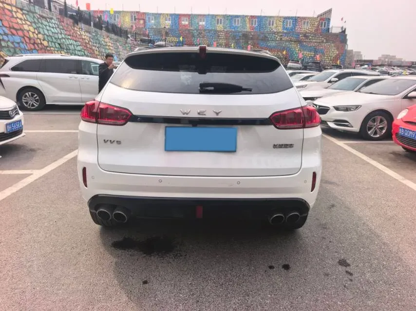 2017 WEY VV5 2.0T 197HP L4 7DCT,autocango,china used car exporter,china ev exporter,chinese used car exporter,chinese used ev exporter