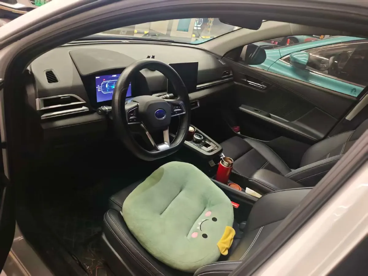 2019 BYD e2 BEV 35.2KWH,autocango,china used car exporter,china ev exporter,chinese used car exporter,chinese used ev exporter