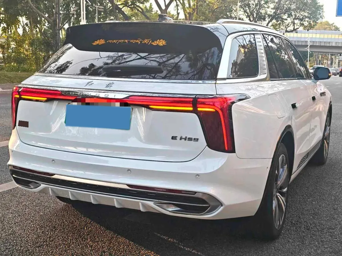 2021 HongQi E-HS9 BEV 84KWH,autocango,china used car exporter,china ev exporter,chinese used car exporter,chinese used ev exporter