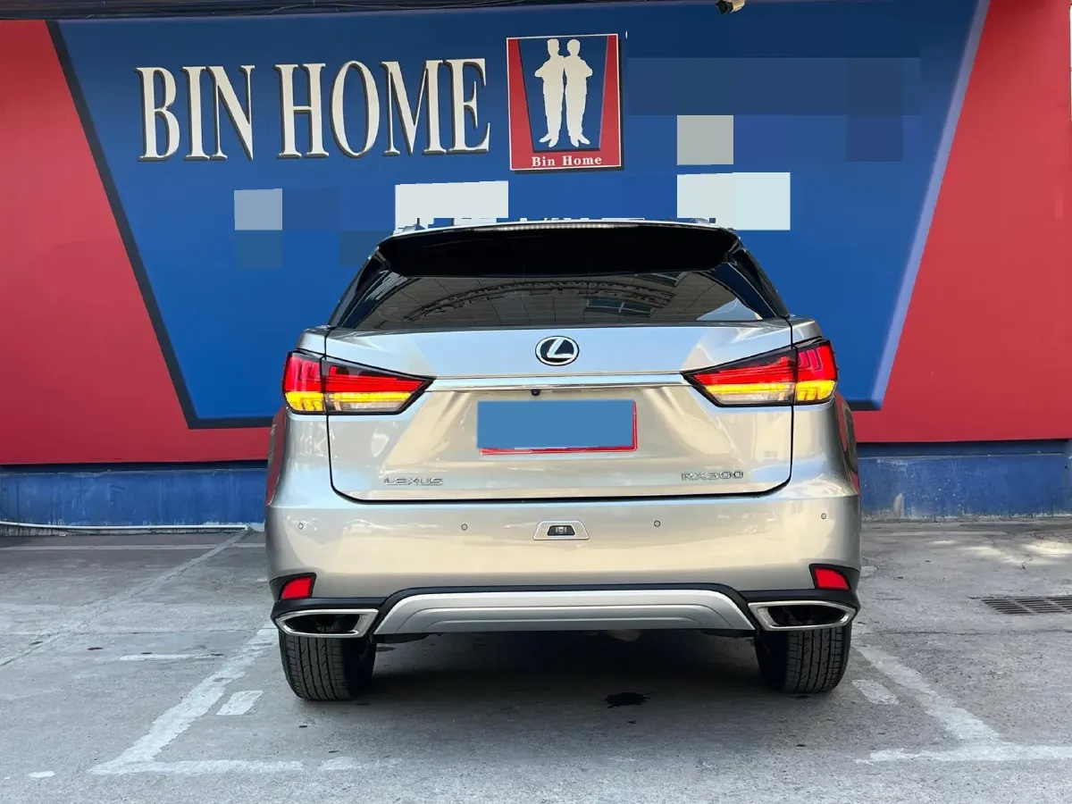 2020 Lexus RX 2.0T 231HP L4 6AT,autocango,china used car exporter,china ev exporter,chinese used car exporter,chinese used ev exporter