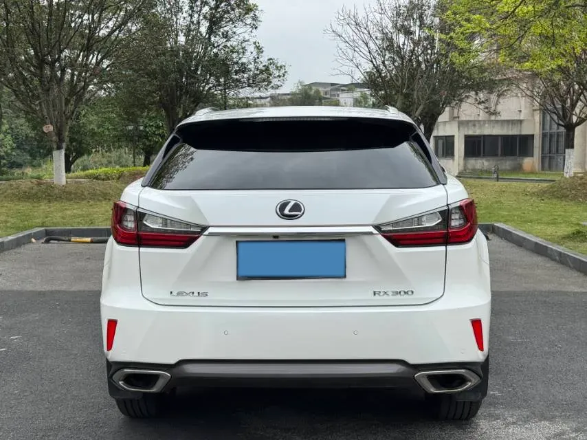 2017 Lexus RX 2.0T 238HP L4 6AT,autocango,china used car exporter,china ev exporter,chinese used car exporter,chinese used ev exporter