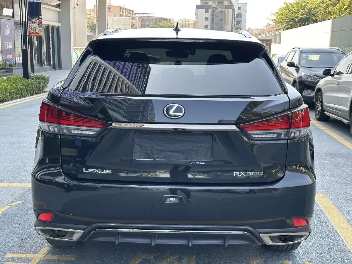 2021 Lexus RX 2.0T 231HP L4 6AT,autocango,china used car exporter,china ev exporter,chinese used car exporter,chinese used ev exporter