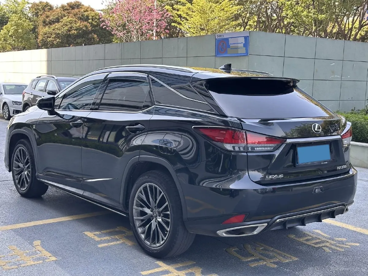 2021 Lexus RX 2.0T 231HP L4 6AT,autocango,china used car exporter,china ev exporter,chinese used car exporter,chinese used ev exporter