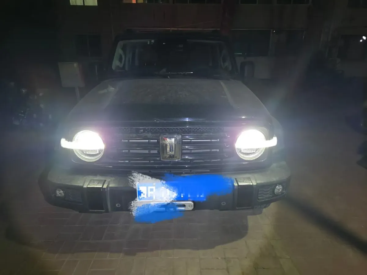 2021 Tank 300 2.0T 227HP L4 8AT,autocango,china used car exporter,china ev exporter,chinese used car exporter,chinese used ev exporter