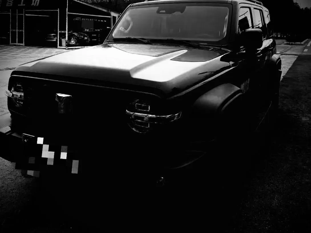 2021 Tank 300 2.0T 227HP L4 8AT,autocango,china used car exporter,china ev exporter,chinese used car exporter,chinese used ev exporter