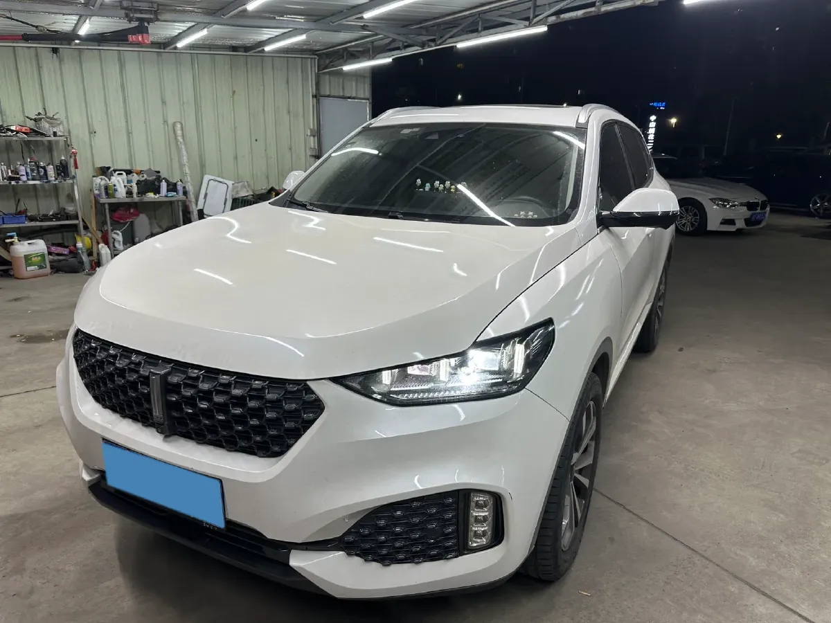 2020 WEY VV6 2.0T 227HP L4 7DCT,autocango,china used car exporter,china ev exporter,chinese used car exporter,chinese used ev exporter