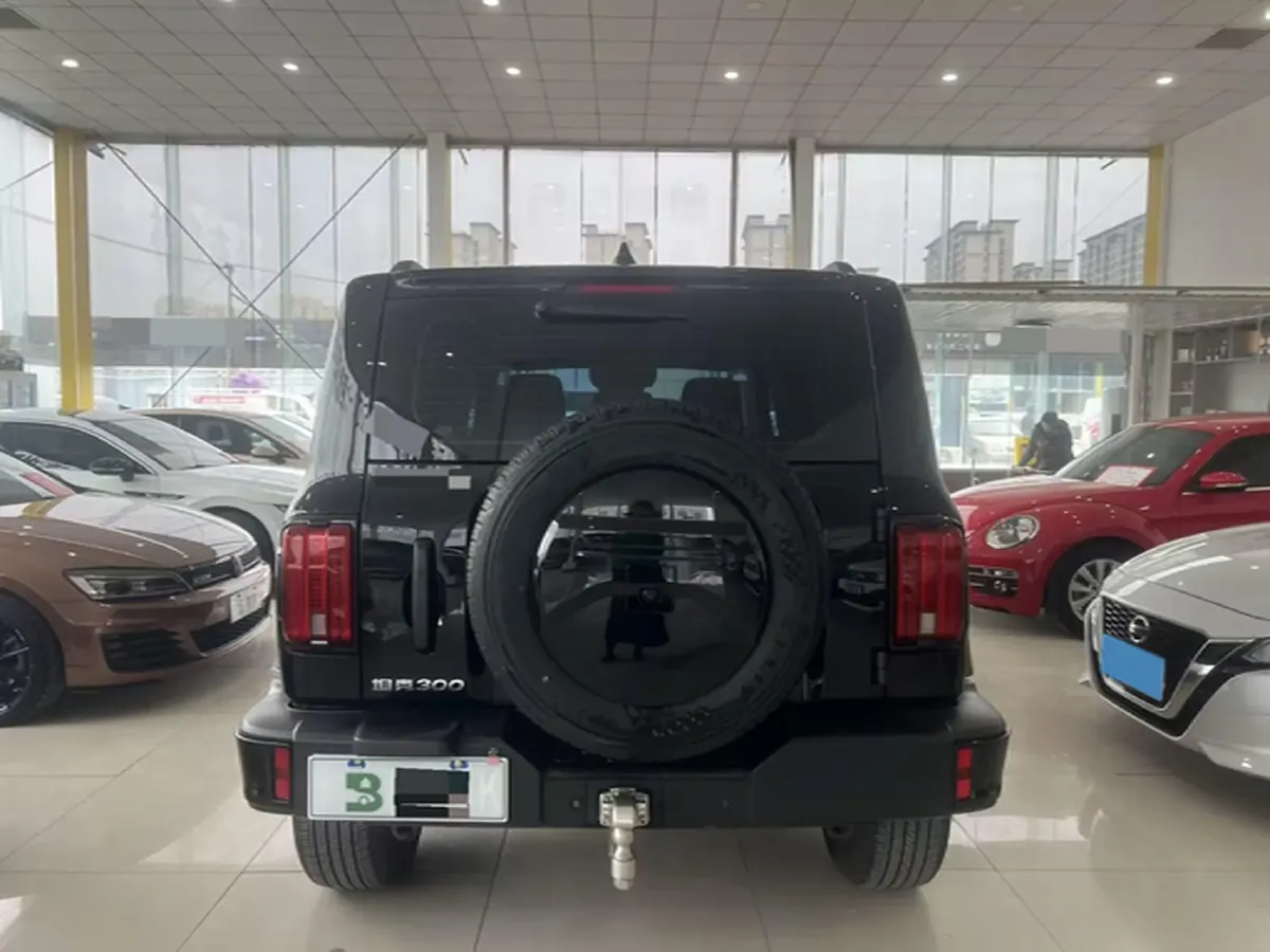 2024 Tank 300 2.0T 227HP L4 8AT,autocango,china used car exporter,china ev exporter,chinese used car exporter,chinese used ev exporter