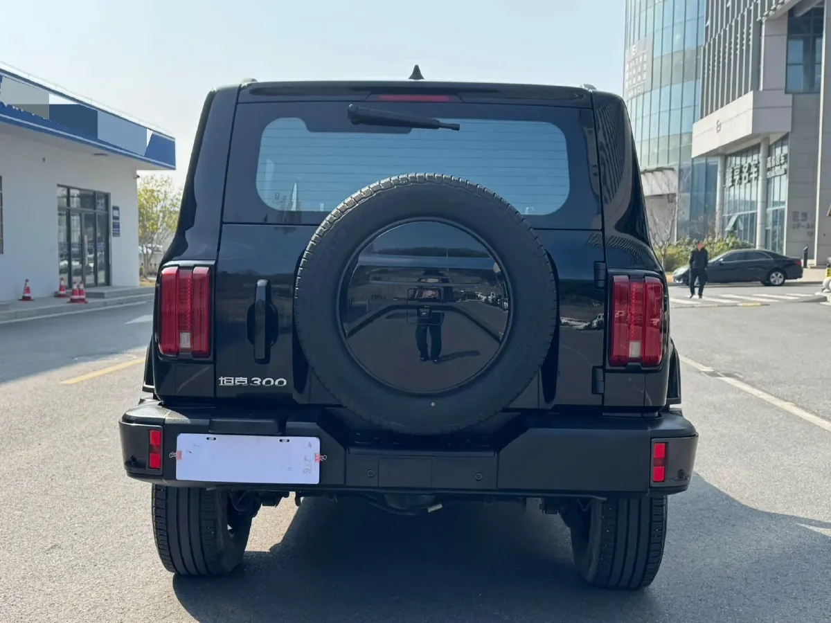 2021 Tank 300 2.0T 227HP L4 8AT,autocango,china used car exporter,china ev exporter,chinese used car exporter,chinese used ev exporter