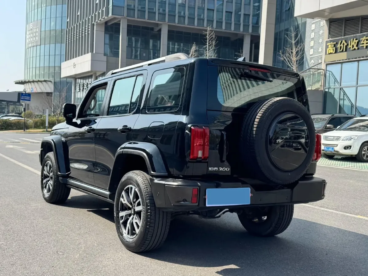 2021 Tank 300 2.0T 227HP L4 8AT,autocango,china used car exporter,china ev exporter,chinese used car exporter,chinese used ev exporter