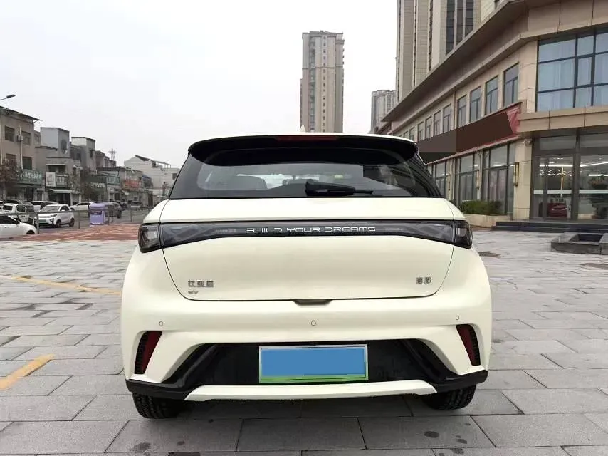 2025 BYD Dolphin BEV 44.928KWH,autocango,china used car exporter,china ev exporter,chinese used car exporter,chinese used ev exporter