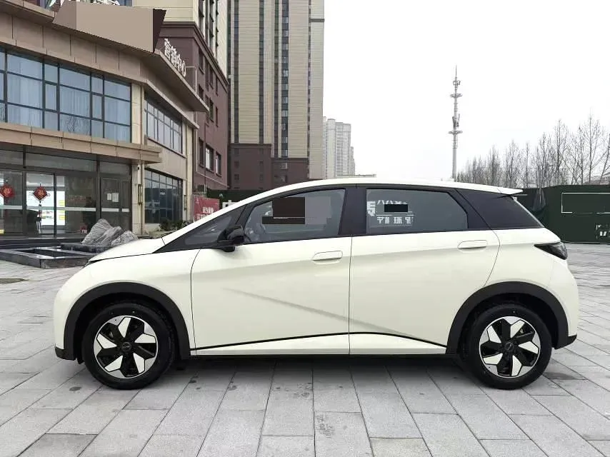 2025 BYD Dolphin BEV 44.928KWH,autocango,china used car exporter,china ev exporter,chinese used car exporter,chinese used ev exporter