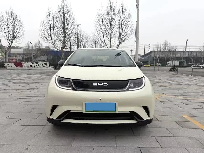 2025 BYD Dolphin BEV 44.928KWH,autocango,china used car exporter,china ev exporter,chinese used car exporter,chinese used ev exporter