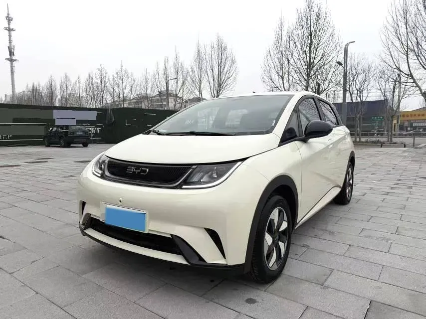 2025 BYD Dolphin BEV 44.928KWH,autocango,china used car exporter,china ev exporter,chinese used car exporter,chinese used ev exporter