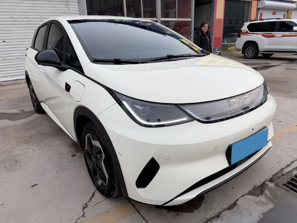 2025 BYD Dolphin BEV 45.12KWH,autocango,china used car exporter,china ev exporter,chinese used car exporter,chinese used ev exporter