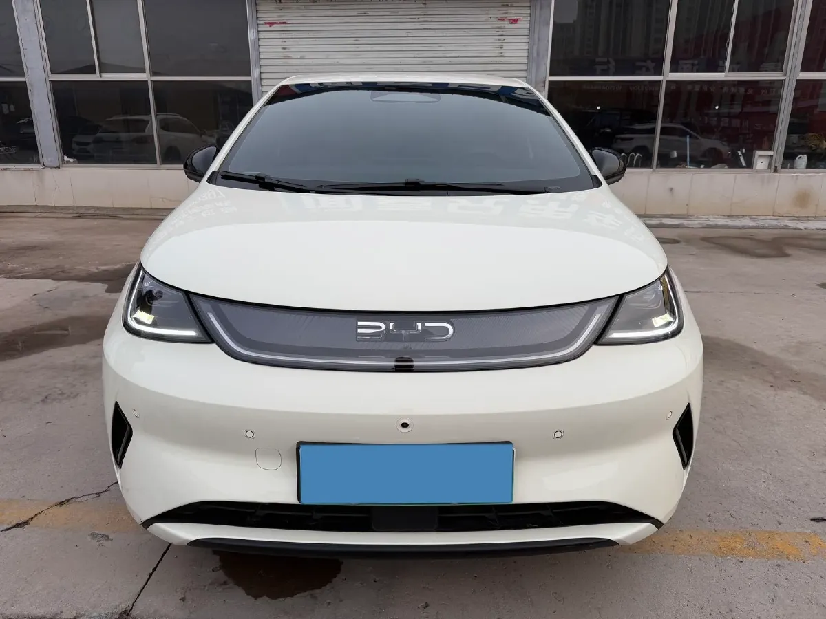 2025 BYD Dolphin BEV 45.12KWH,autocango,china used car exporter,china ev exporter,chinese used car exporter,chinese used ev exporter