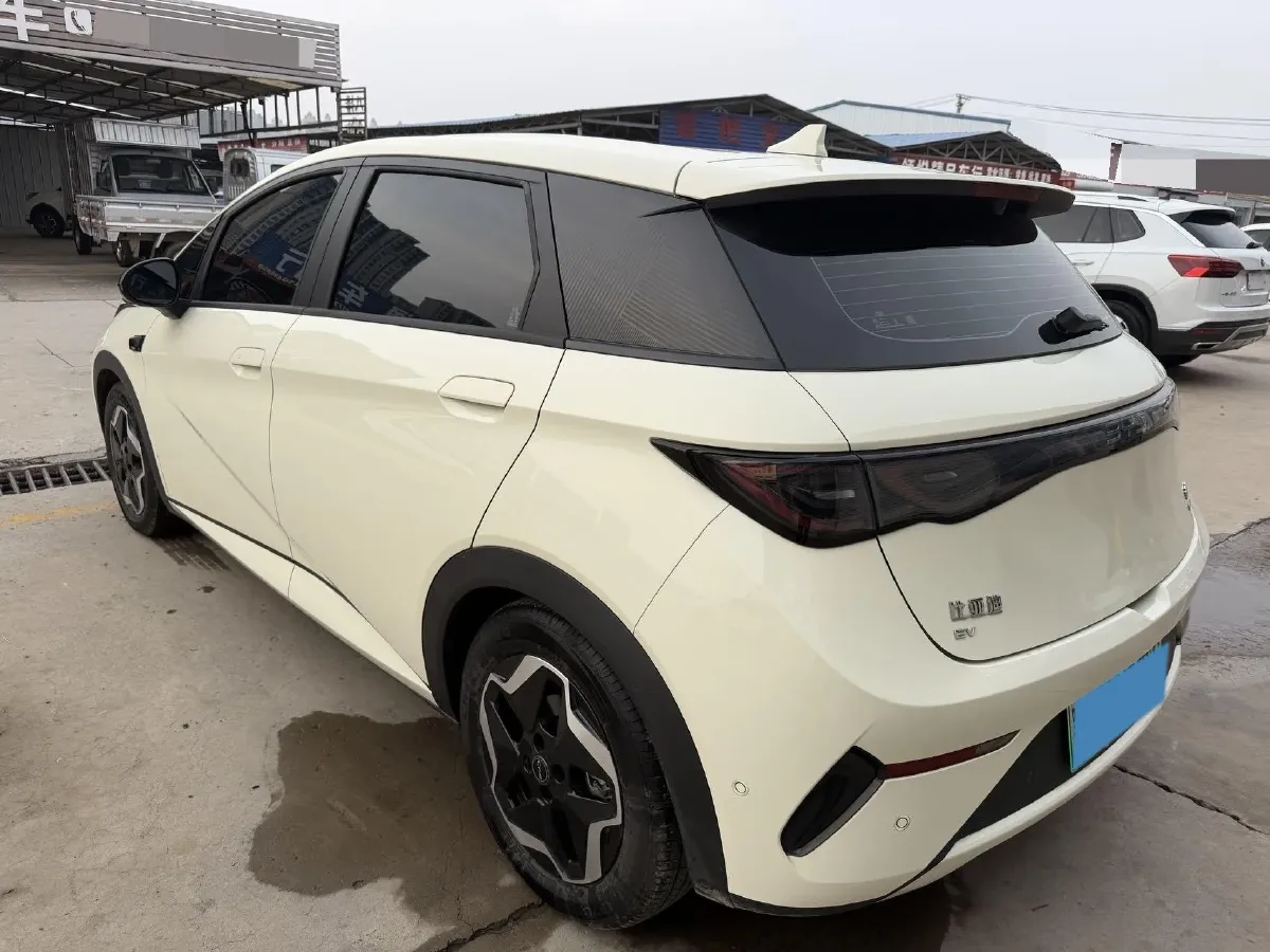 2025 BYD Dolphin BEV 45.12KWH,autocango,china used car exporter,china ev exporter,chinese used car exporter,chinese used ev exporter