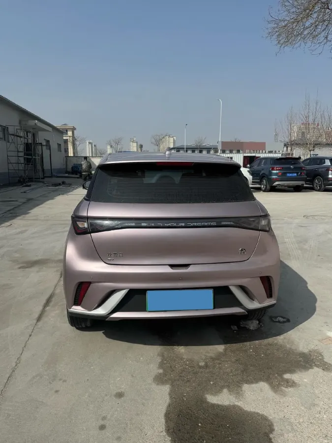 2021 BYD Yuan Pro BEV 50.1KWH,autocango,china used car exporter,china ev exporter,chinese used car exporter,chinese used ev exporter