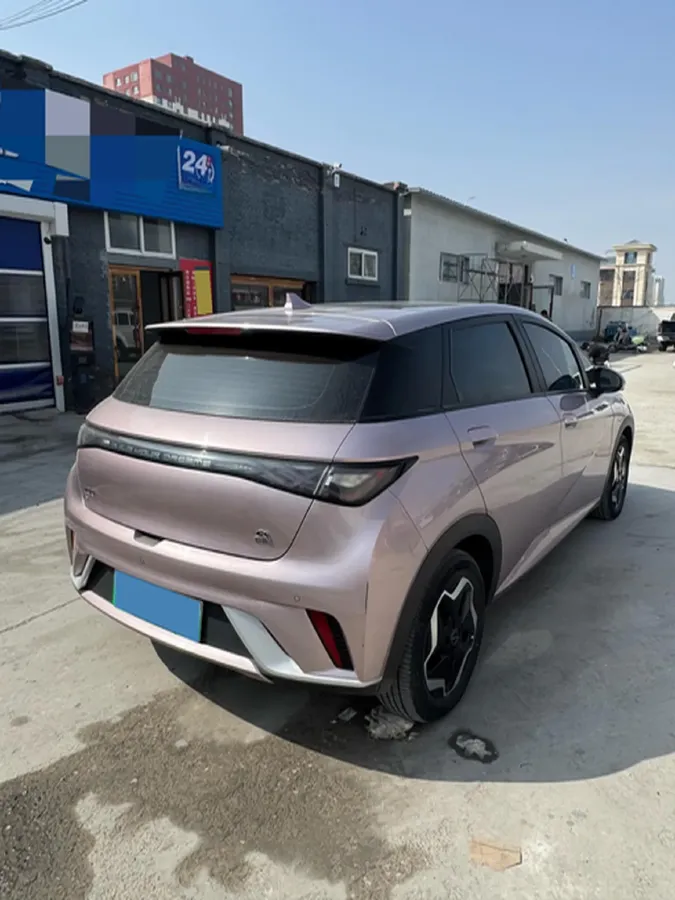 2021 BYD Yuan Pro BEV 50.1KWH,autocango,china used car exporter,china ev exporter,chinese used car exporter,chinese used ev exporter