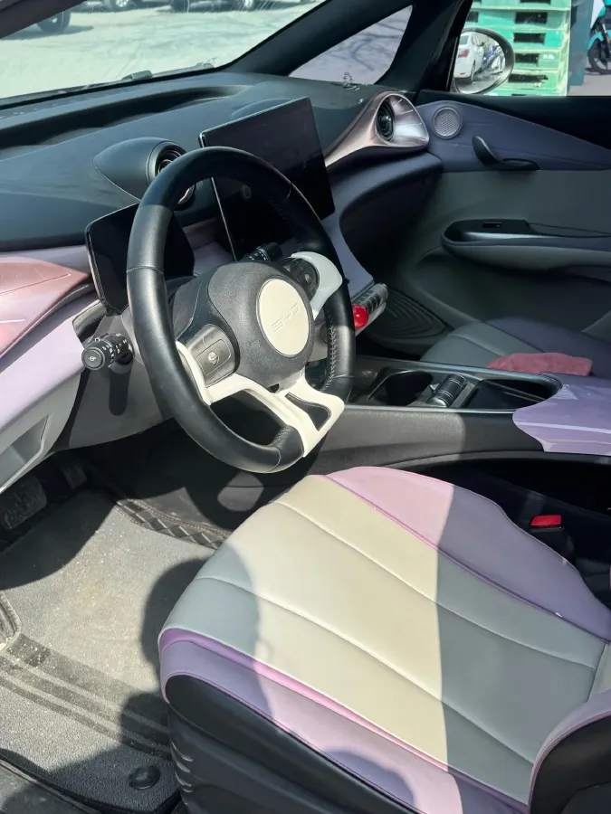 2021 BYD Yuan Pro BEV 50.1KWH,autocango,china used car exporter,china ev exporter,chinese used car exporter,chinese used ev exporter