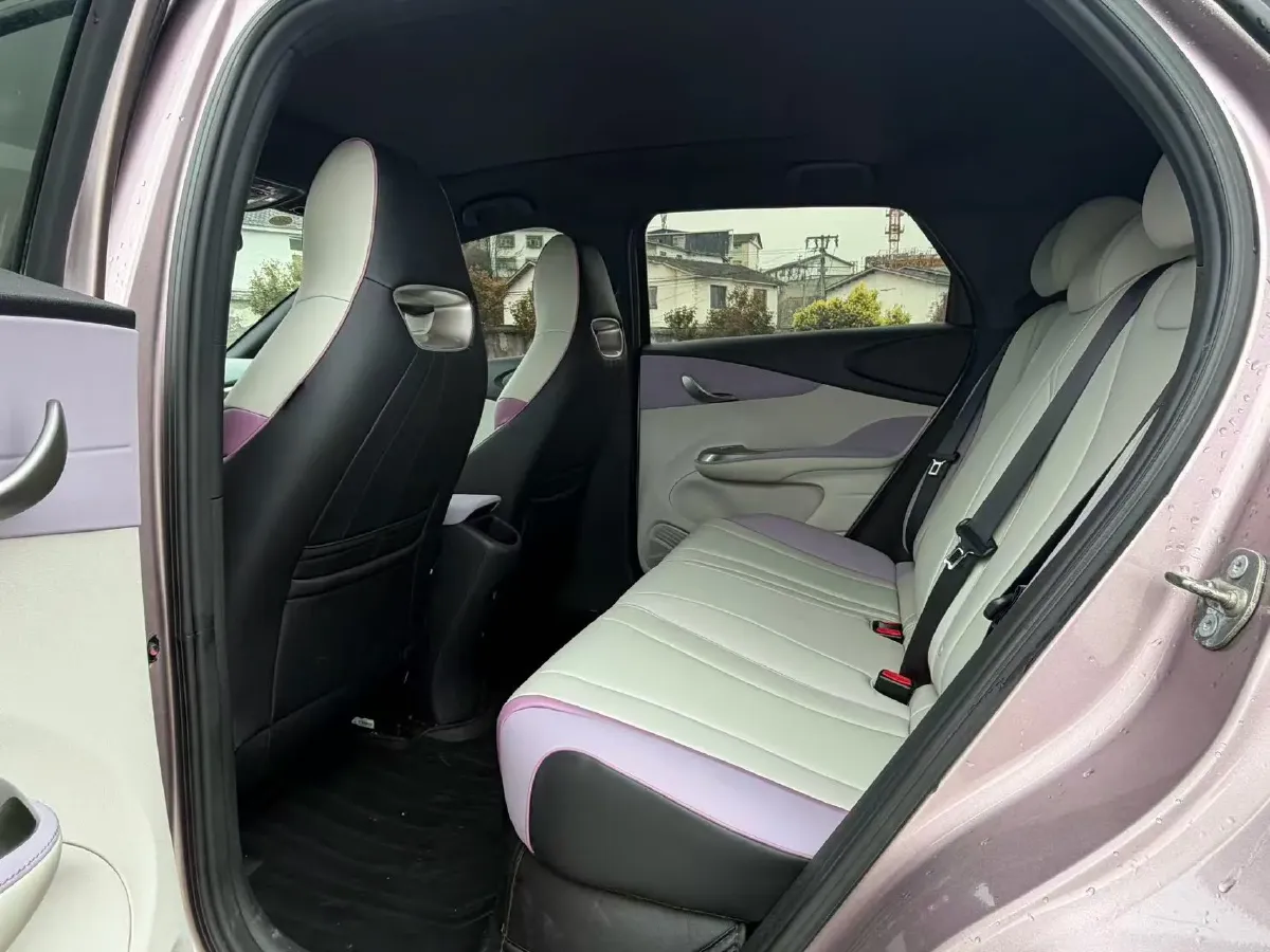 2021 BYD Yuan Pro BEV 50.1KWH,autocango,china used car exporter,china ev exporter,chinese used car exporter,chinese used ev exporter