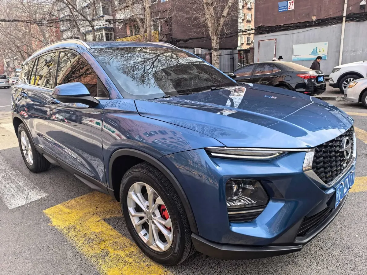 2019 HaiMa 8S 1.6T 195HP L4 6AT,autocango,china used car exporter,china ev exporter,chinese used car exporter,chinese used ev exporter
