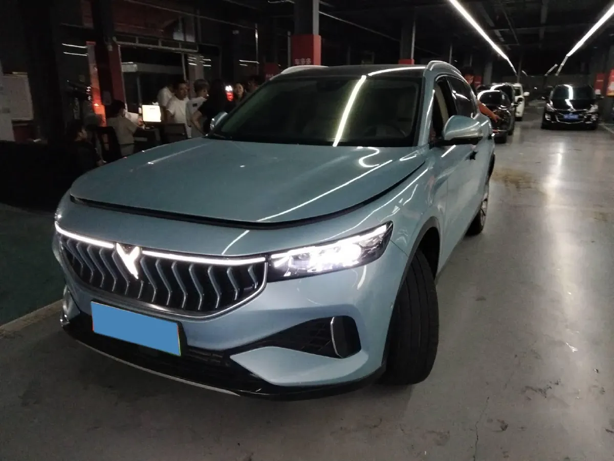 2021 Voyah FREE Range Extended 109HP REEV 33KWH,autocango,china used car exporter,china ev exporter,chinese used car exporter,chinese used ev exporter